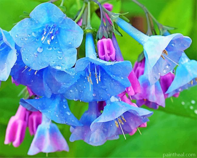 Beautiful Bluebells Painting By Numbers Kits