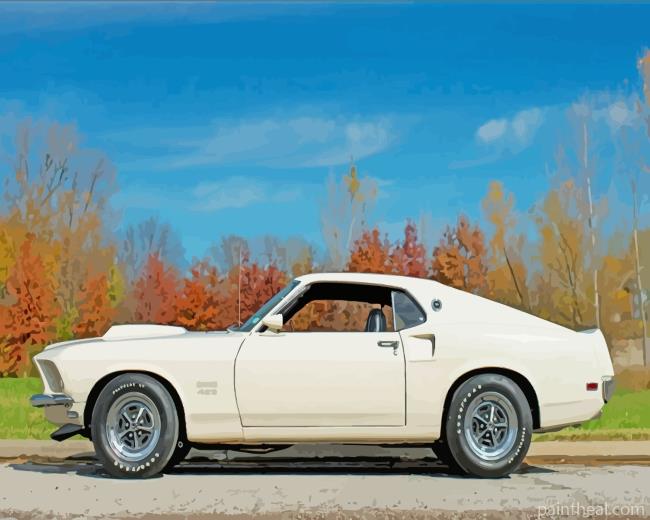 White For Mustang Car Painting By Numbers Kits