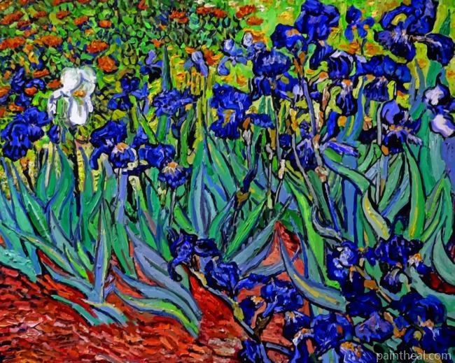 Aesthetic Van Gogh Irises Painting By Numbers Kits