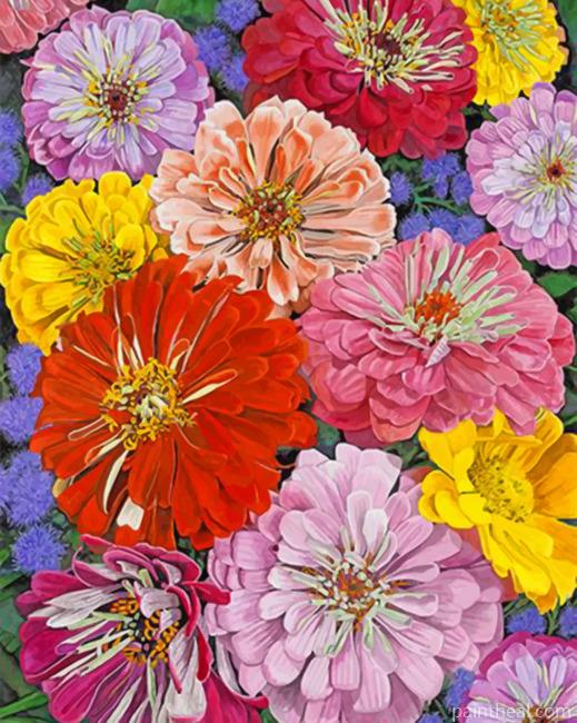 Colored Zinnias Flowers Painting By Numbers Kits