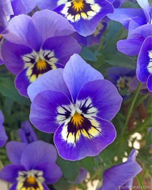 Purple Pansies Flower Painting By Numbers Kits