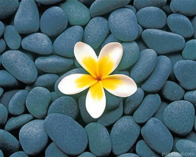 Frangipani And Stones Painting By Numbers Kits