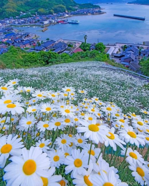 Beautiful Daisy Field Painting By Numbers Kits