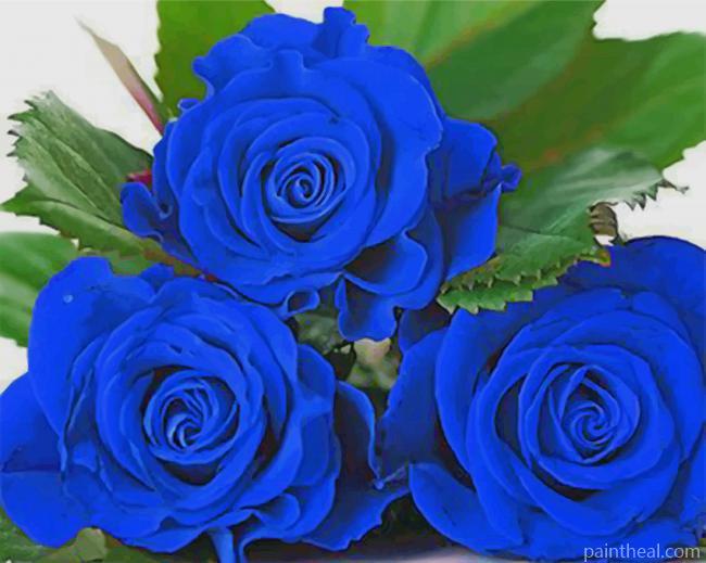 Blue Dark Roses Painting By Numbers Kits