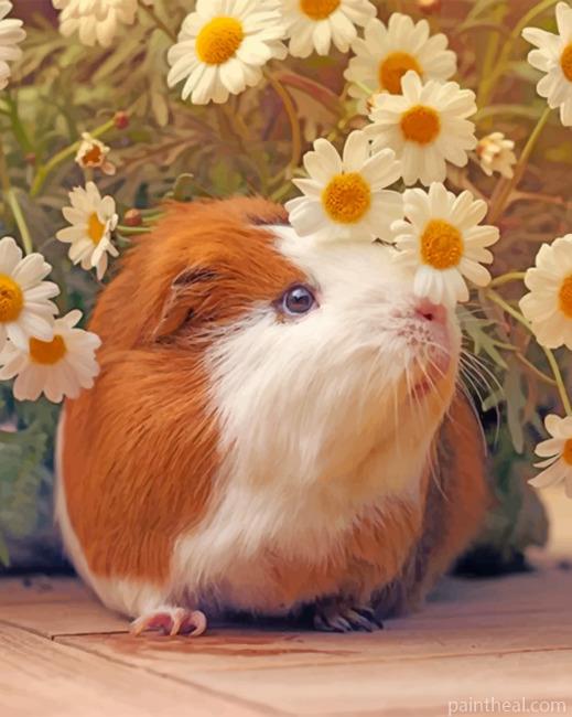 Guinea Pig And Daisy Flowers Painting By Numbers Kits