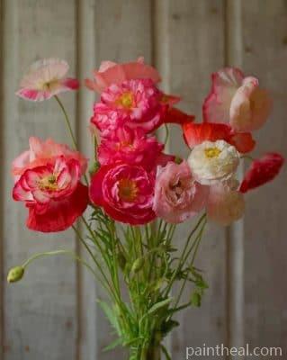 Poppies Bouquet Painting By Numbers Kits