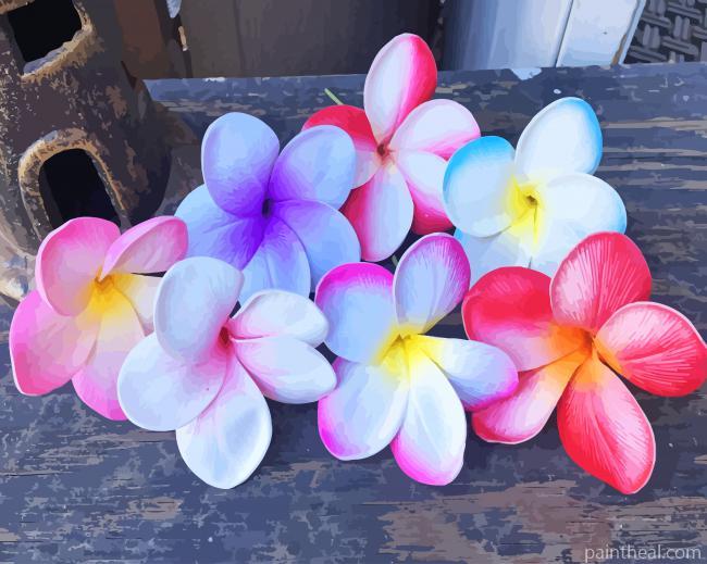 Plumeria Colorful Flowers Painting By Numbers Kits