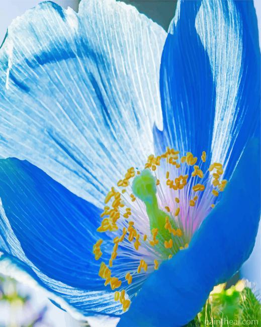 Wild Mallory Blue Poppy Painting By Numbers Kits