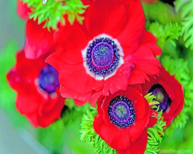 Red Anemone Flowers Painting By Numbers Kits