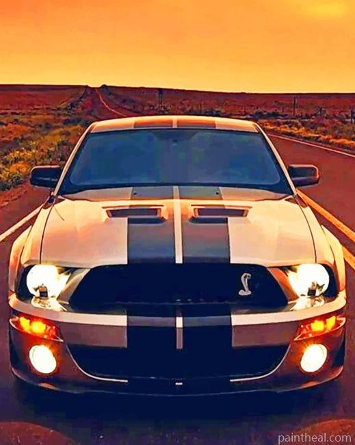 Shelby Mustang Painting By Numbers Kits