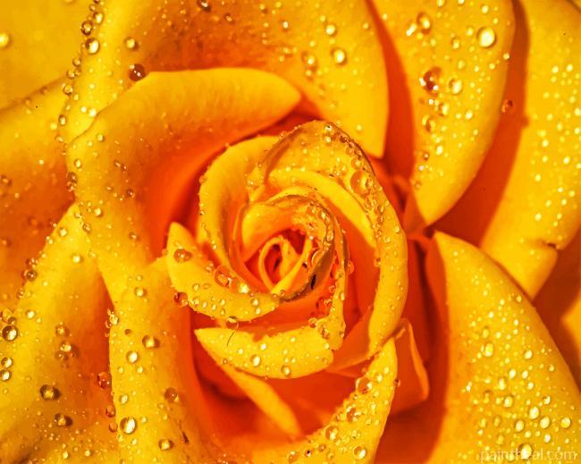 Yellow Rose Painting By Numbers Kits