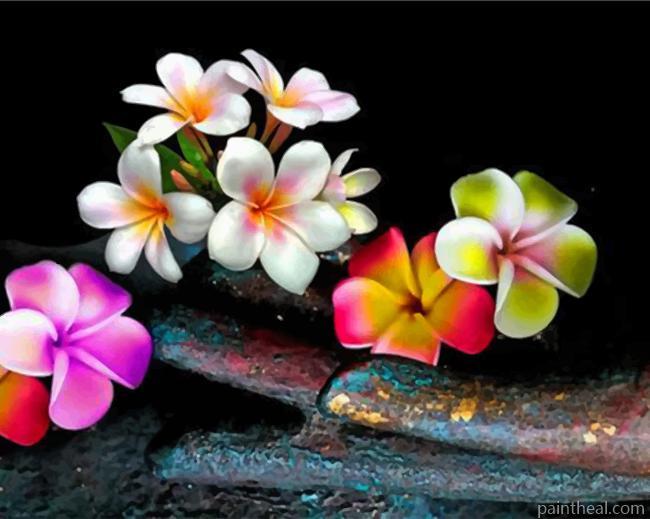 Colorful Frangipani Painting By Numbers Kits