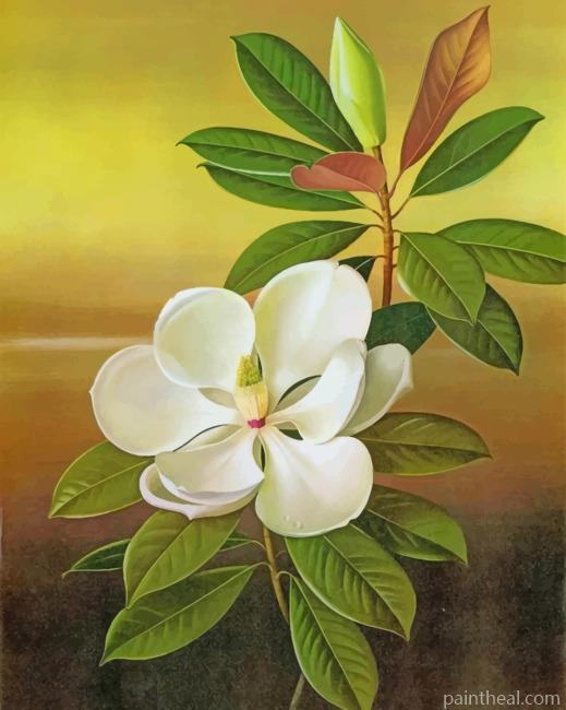 White Magnolia Aesthetic Painting By Numbers Kits