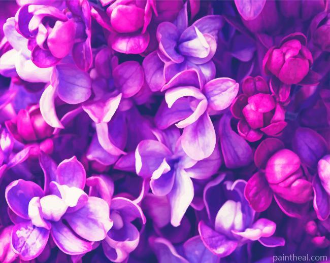 Gorgeous Purple Flowers Painting By Numbers Kits