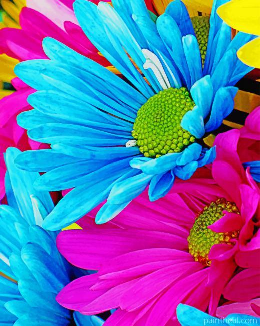 Colorful Daisy Painting By Numbers Kits