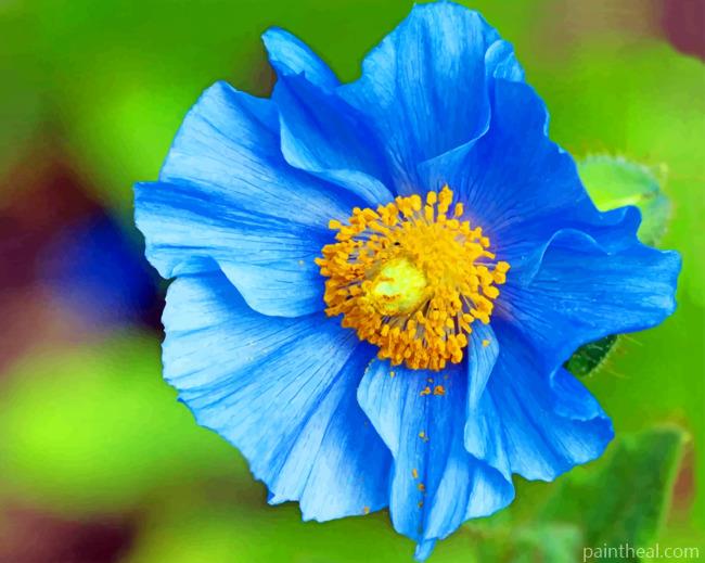 Blue And Yellow Poppy Painting By Numbers Kits