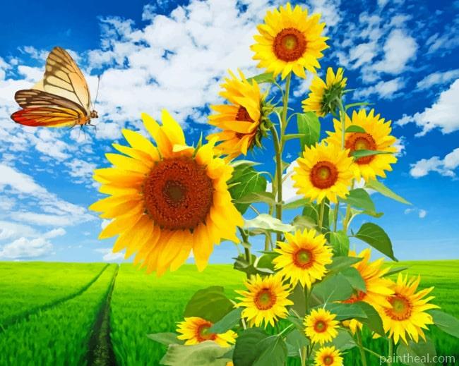 Blooming Sunflowers Painting By Numbers Kits