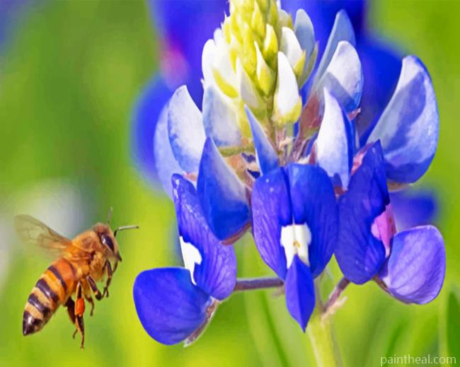 Bee Hovering Near Bluebonnet Painting By Numbers Kits
