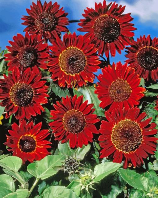 Red Sunflowers Painting By Numbers Kits