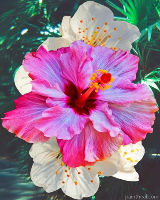 Hibiscus Pink Flower Painting By Numbers Kits