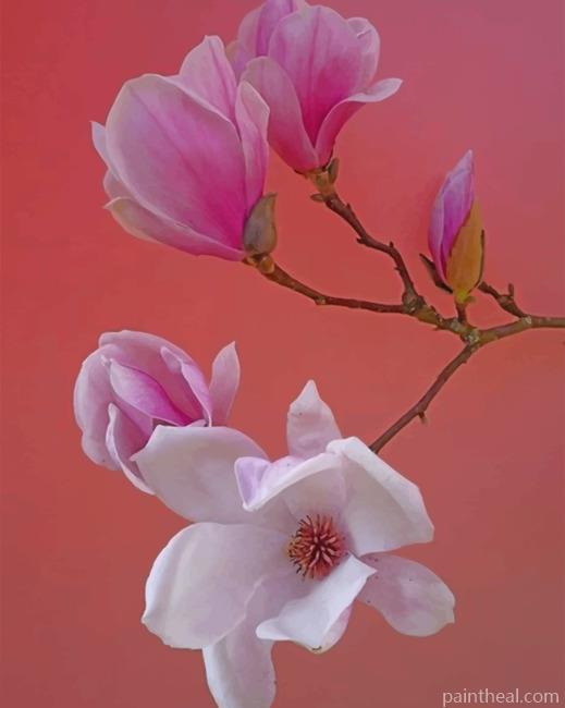 Pink Magnolia Flower Painting By Numbers Kits