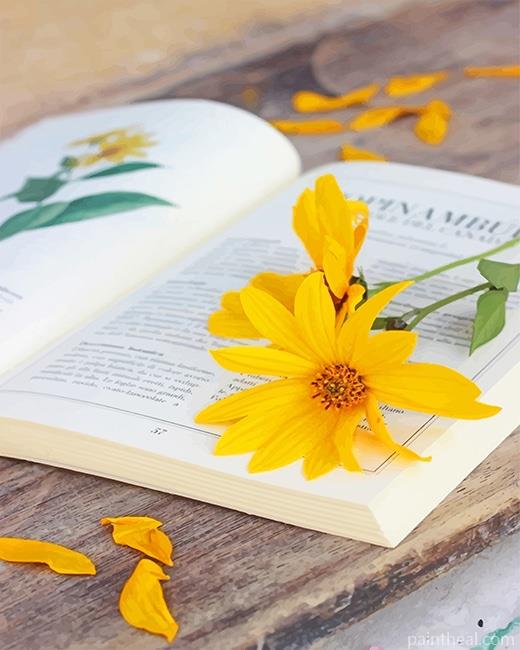 Book And Flower Painting By Numbers Kits