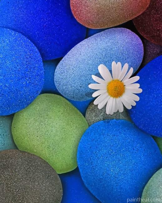 White Flower On Stones Painting By Numbers Kits