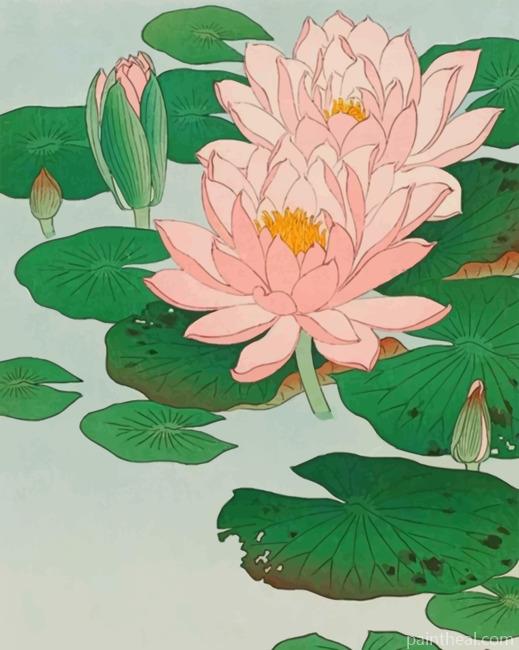 Lotus Pink Flowers Painting By Numbers Kits