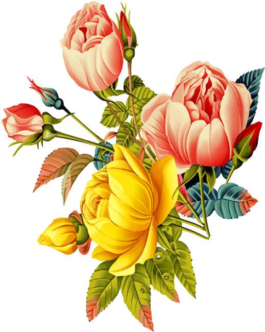 Aesthetic Botanical Flowers Painting By Numbers Kits