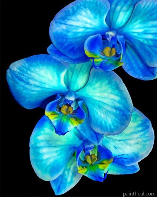 Blue Orchid Flower Painting By Numbers Kits