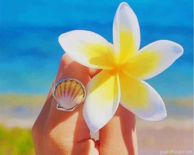 White And Yellow Frangipani Flower Painting By Numbers Kits