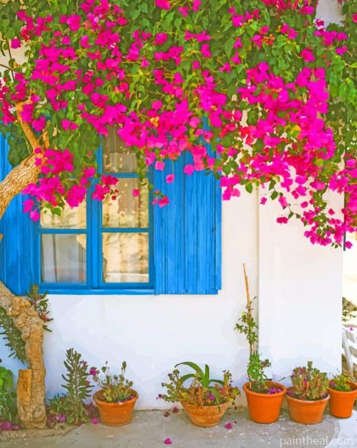 Bougainvillea Flower Painting By Numbers Kits