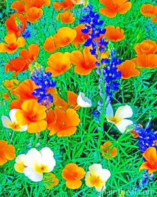 White And Orange Mexican Gold Poppies Painting By Numbers Kits
