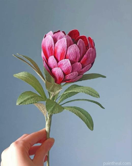 Pretty Protea Painting By Numbers Kits