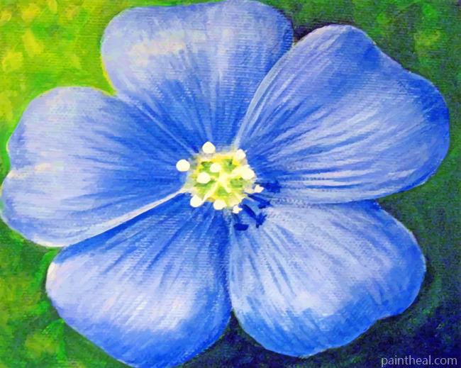 Blue Poppy Flower Painting By Numbers Kits