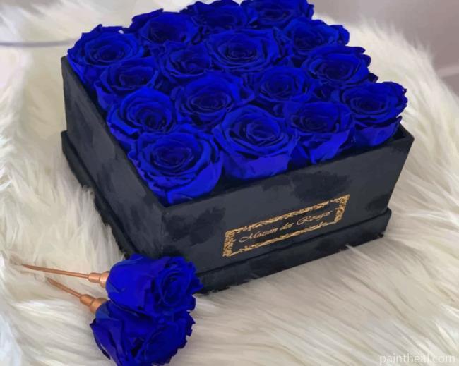 Dark Blue Roses Painting By Numbers Kits