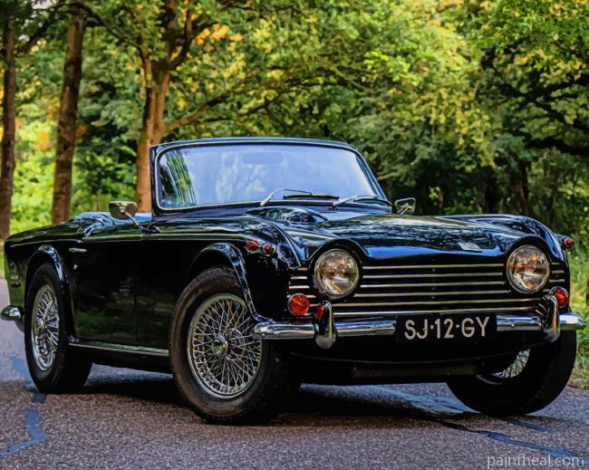 Black Triumph TR4 Car Painting By Numbers Kits