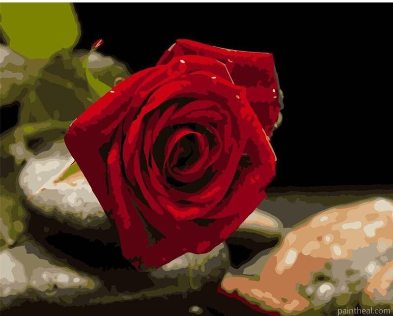 Shiny Red Rose Painting By Numbers Kits