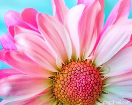 Pink Daisy Flower Painting By Numbers Kits