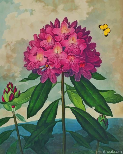 Pink Flower Artwork Painting By Numbers Kits