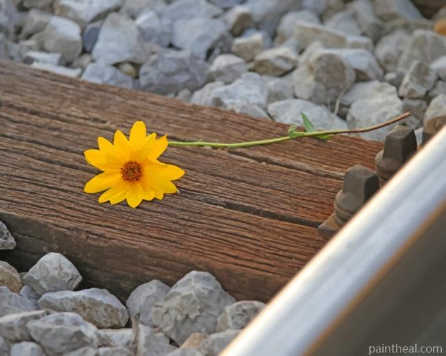 Rail Track Flower Painting By Numbers Kits