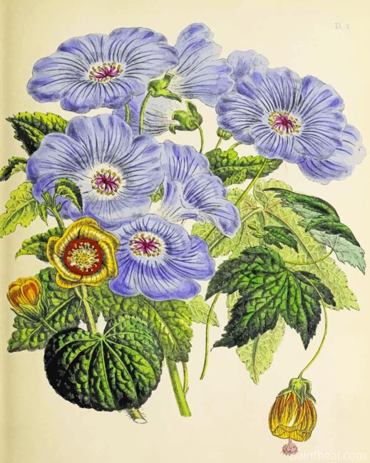 Botanical Flower Painting By Numbers Kits