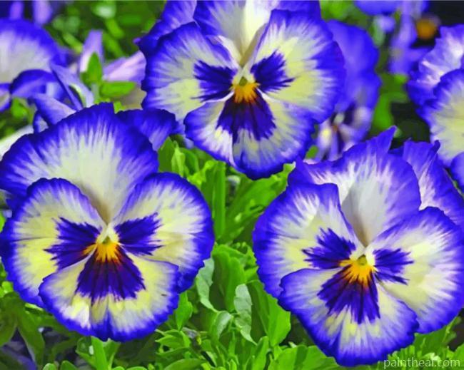 Purple Pansies Painting By Numbers Kits
