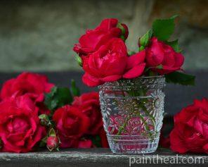 Red Roses In Glass Cup Painting By Numbers Kits