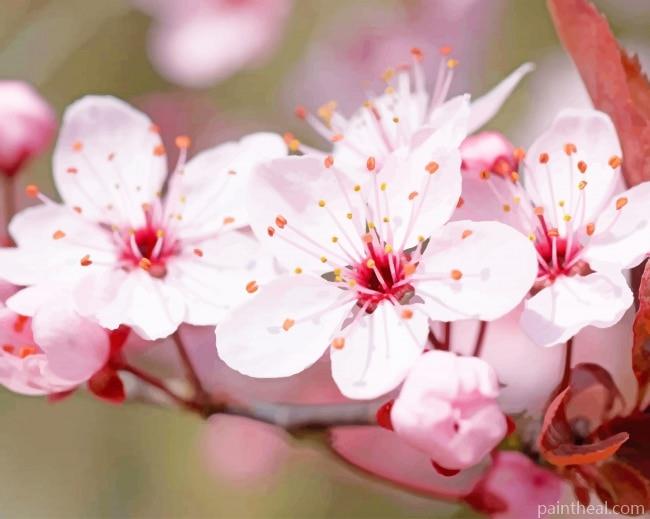 Pink Cheery Blossom Flower Painting By Numbers Kits