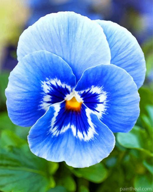 Blue Pansy Flower Painting By Numbers Kits
