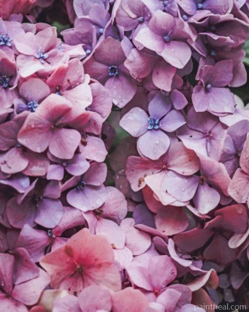 Pink Hydrangea Flower – 5D Diamond Painting Painting By Numbers Kits