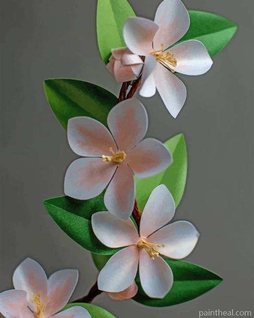 Frangipani Simple Flowers Painting By Numbers Kits