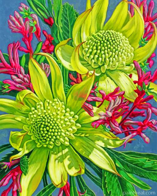 Green Waratahs With Kangaroo Paws Painting By Numbers Kits