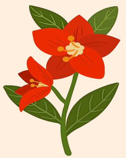 Red Botanical Painting By Numbers Kits